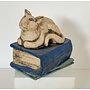 Bücherwurm-Katze