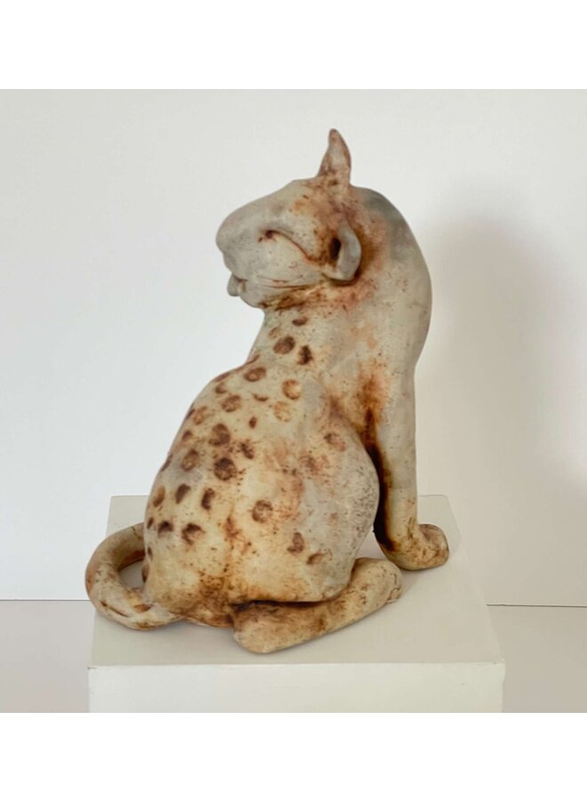 Кошка моет спину