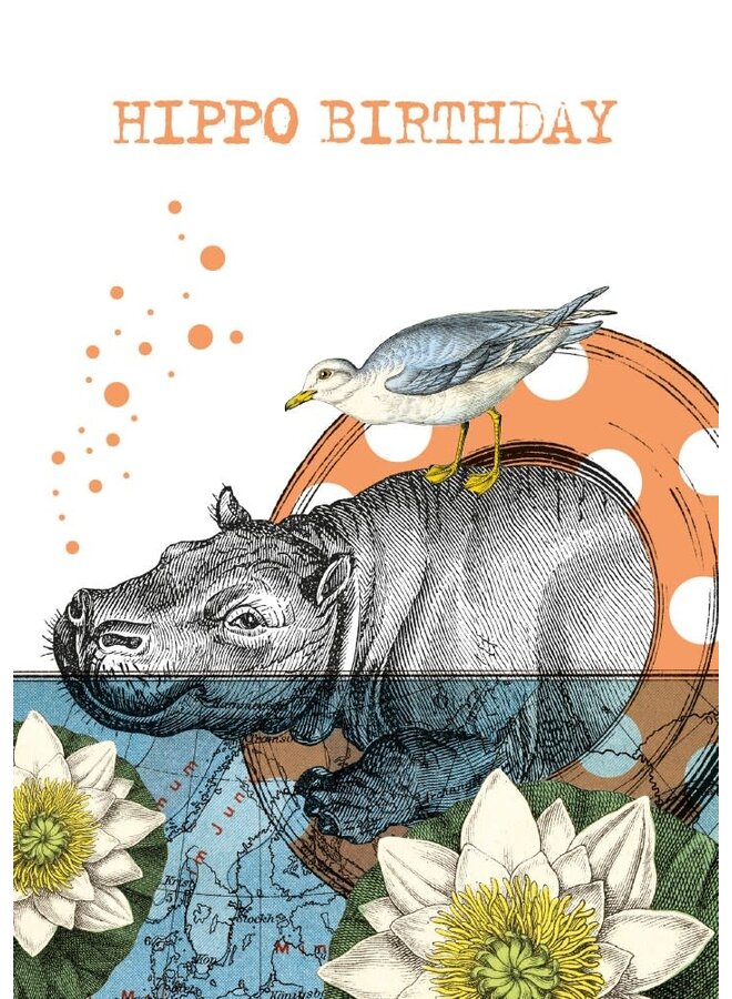 Hippo Birthday  Card