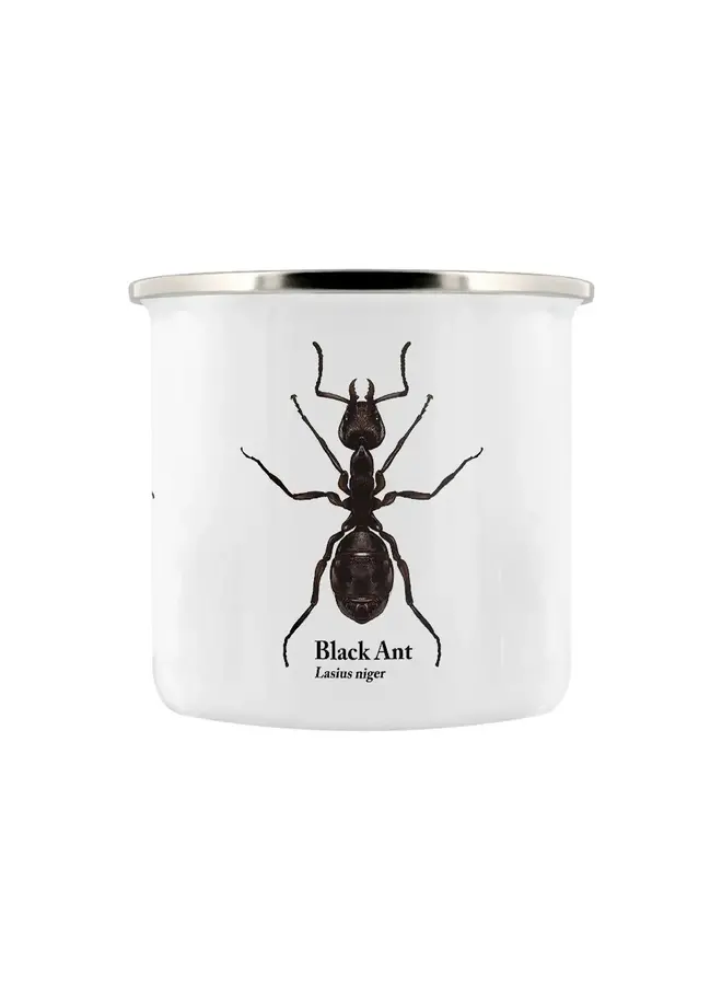 Insect Trio Natures Delights Enamel Graphics Mug