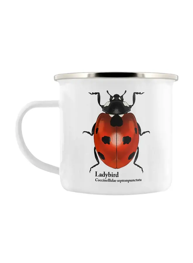 Insect Trio Natures Delights Enamel Graphics Mug