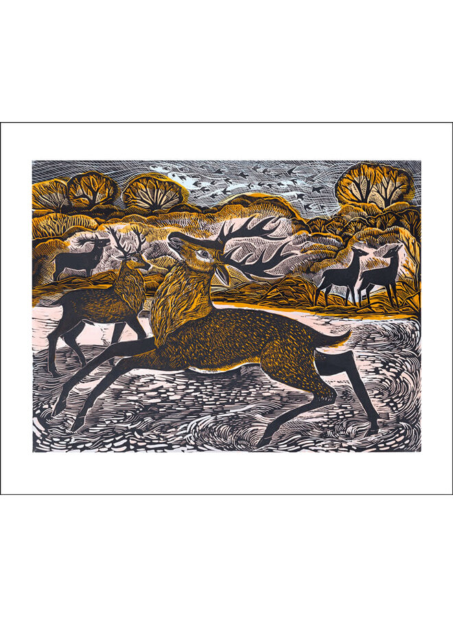 Красный олень Неппа, Анджела Хардинг