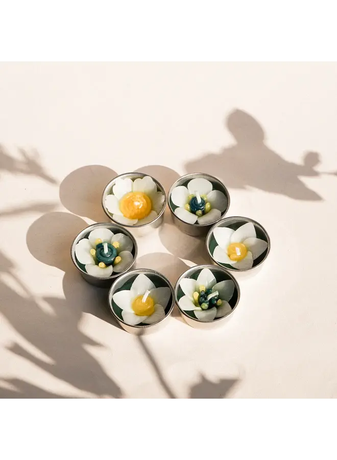 White Garden Flower x8 Scented värmeljus 301