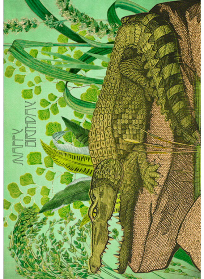 Crocodile - Snappy Birthday