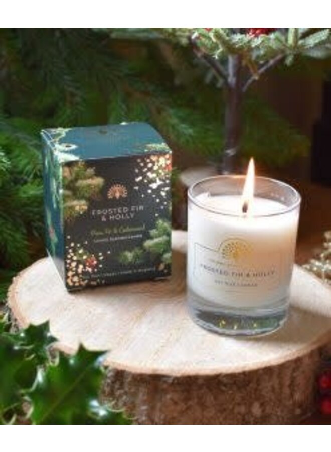 Frosted Fir and Holly Candle