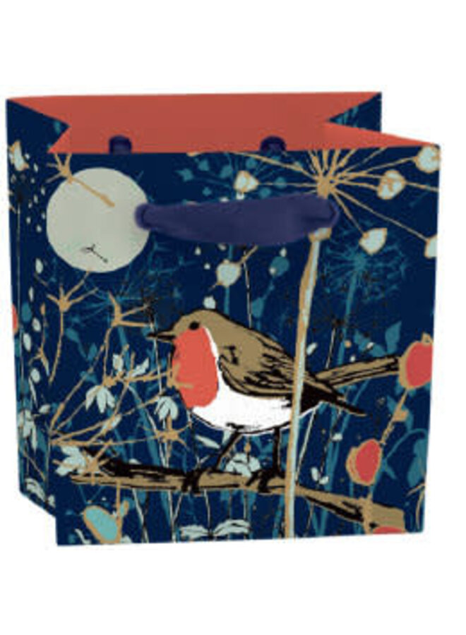 Мини-подарочный пакет с биркой «Робин Зимняя сказка»