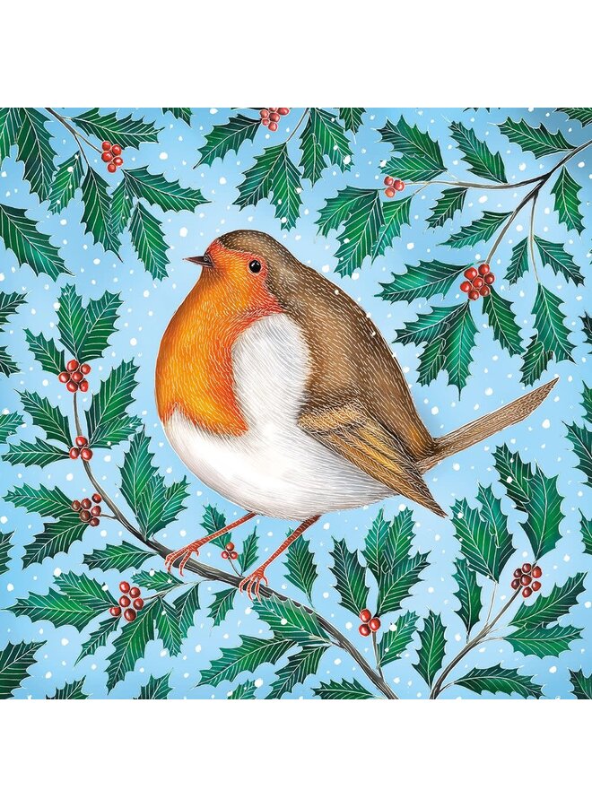 Mr. Robin von Catherine Rowe 5 Weihnachtskarten-Paket