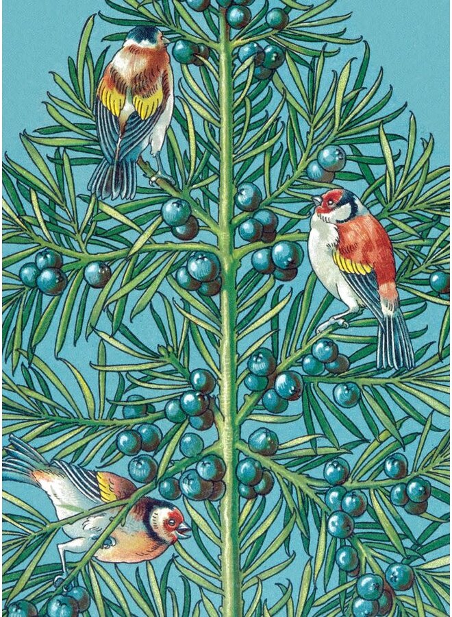 Paquete de 8 tarjetas navideñas de Los Tres Jilgueros