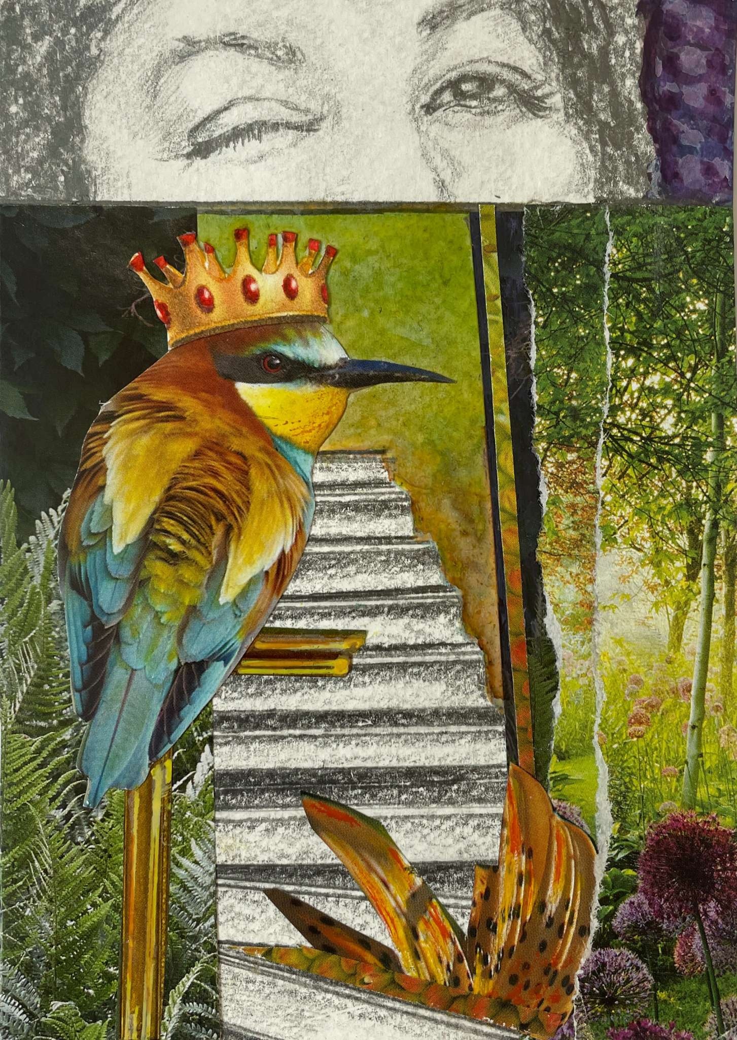 Winkdom Bee Eater Kingdom Water Street Gallery