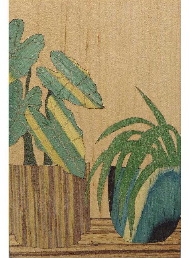 Marquetería con plantas de interior