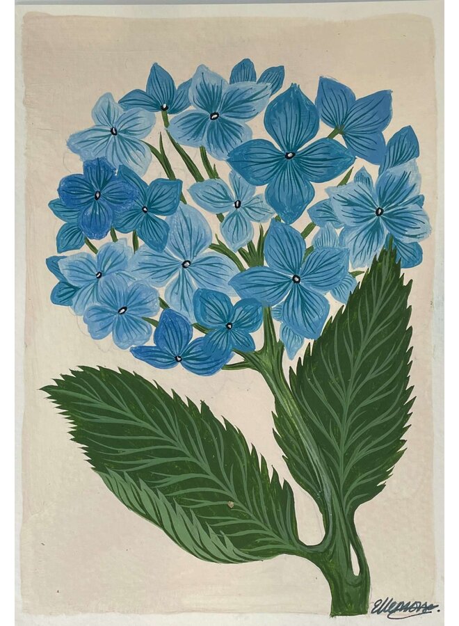 Saison des Hortensias 2024