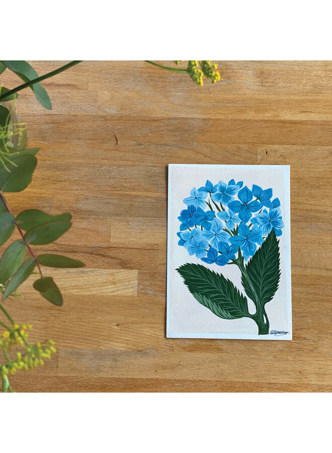 Saison des Hortensias 2024