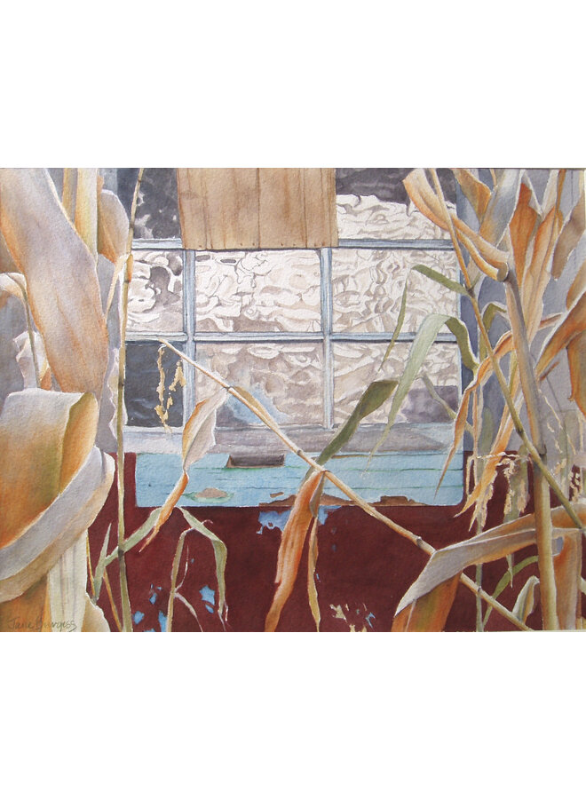 Сарай для огорода с кукурузой