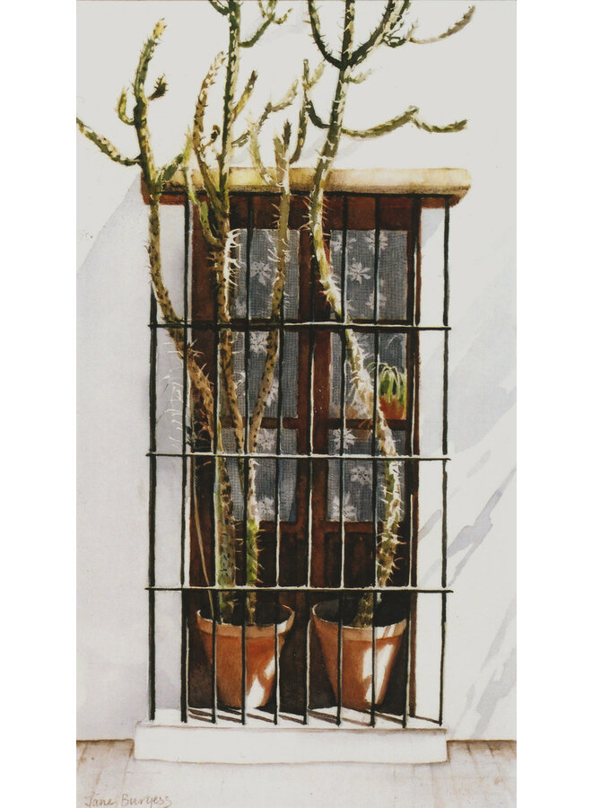 Cactuses on Windowsill