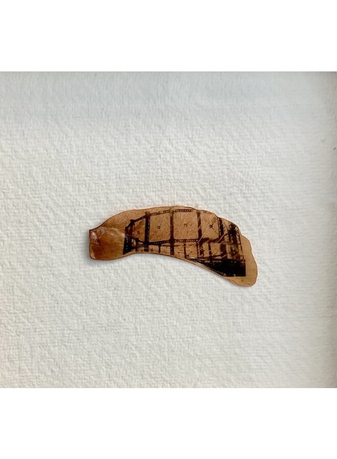 Graine de gazomètre