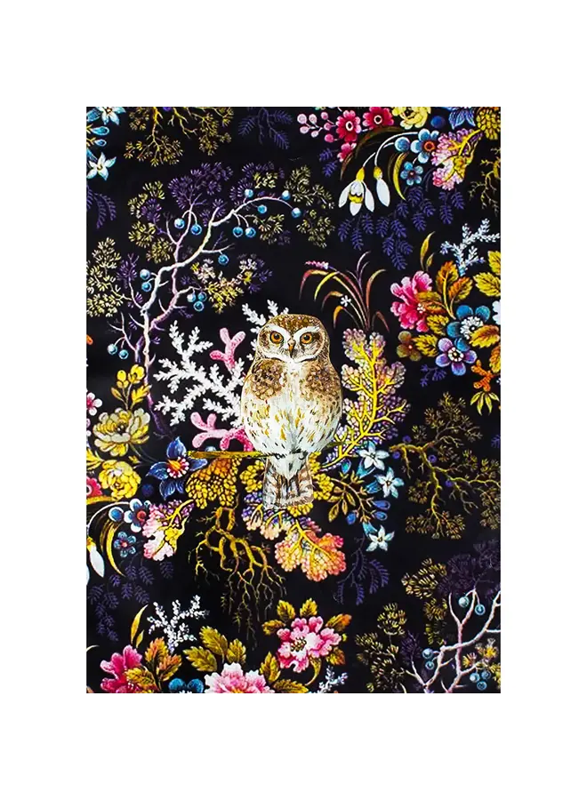 Little Owl Card 111