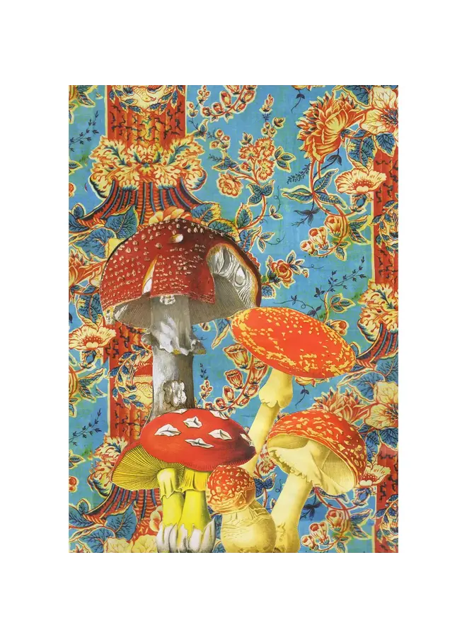 Fly Agaric Card 113