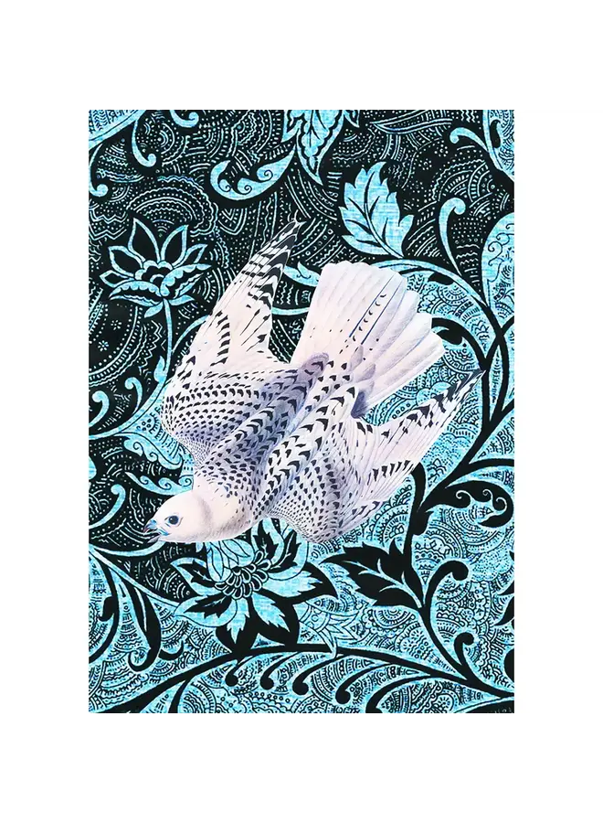 Falcon Greeting Card 126