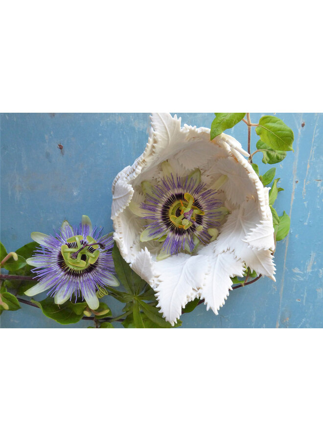 Porcelain Leaf Bowl  Small 143