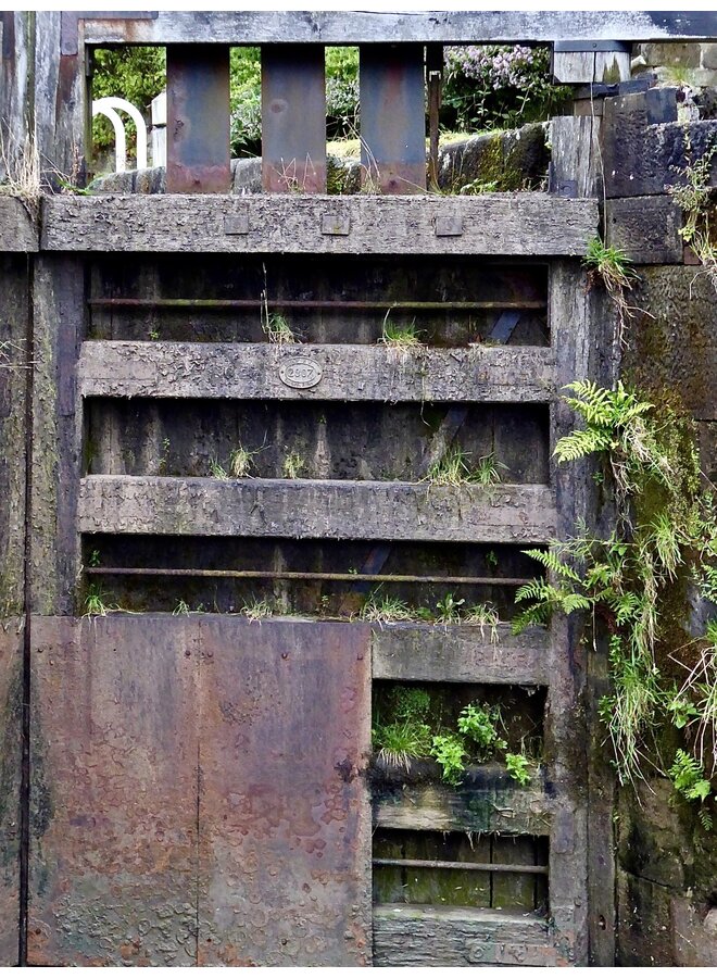 Plantas de compuerta de esclusa 2