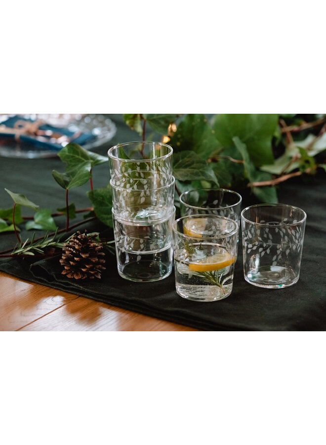 Silberbirkenbecher 07