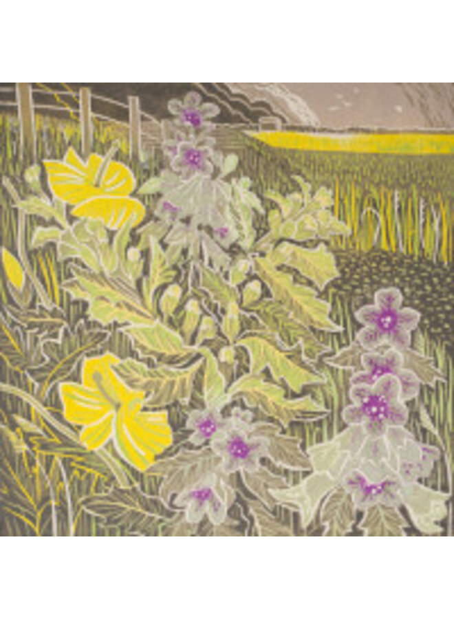 Karte „Annäherung an den Sturmplatz“ von Annie Soudain