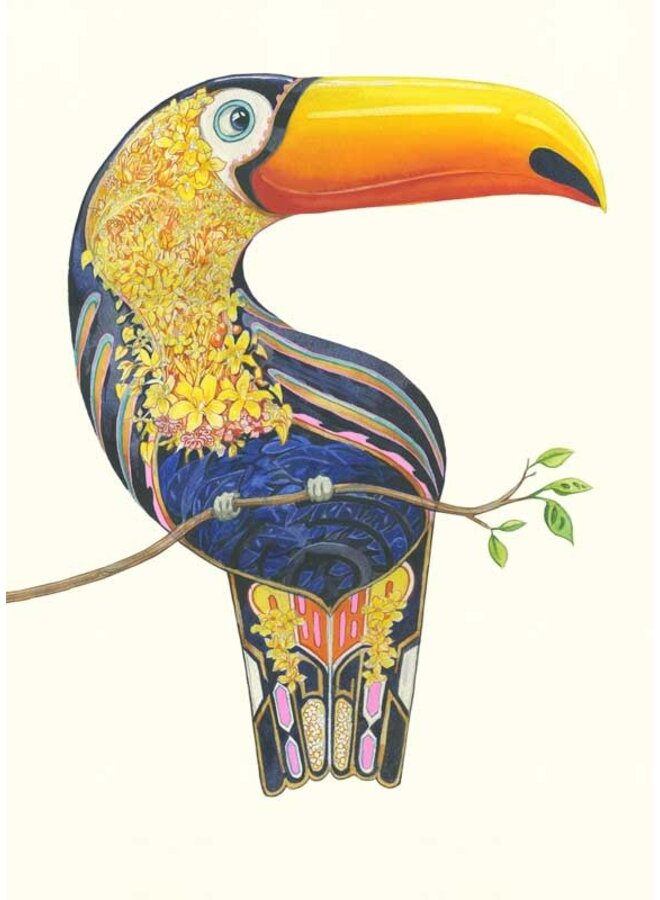 Carte Toucan