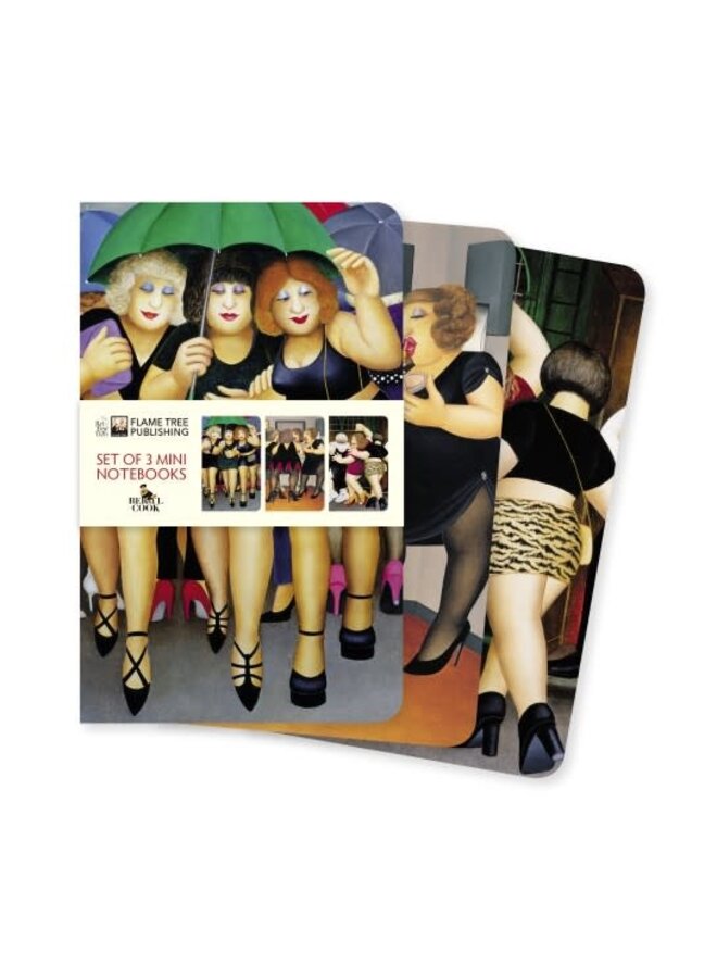 Set of 3  Mini  Notebooks by Beryl Cook