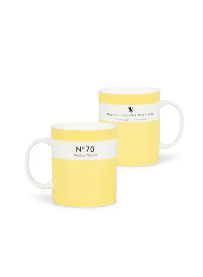 Taza Diccionario de Colores N.° 70 - Amarillo Azufre 039