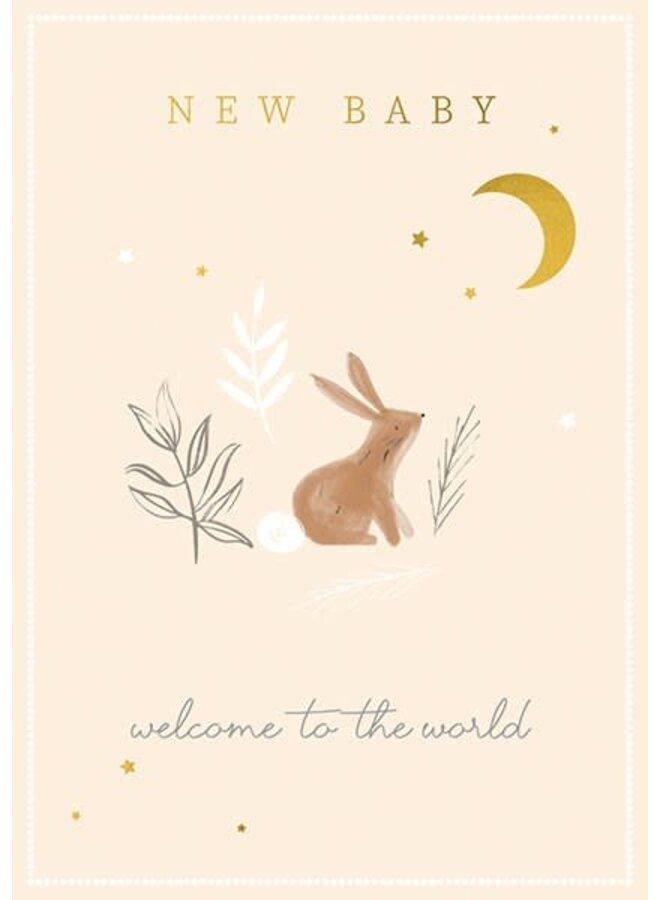 Ny bebis - Välkommen