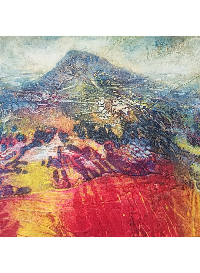 Walking in Pen y Ghent, Summer Breeze  018