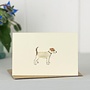 Jack Russell minikort 099