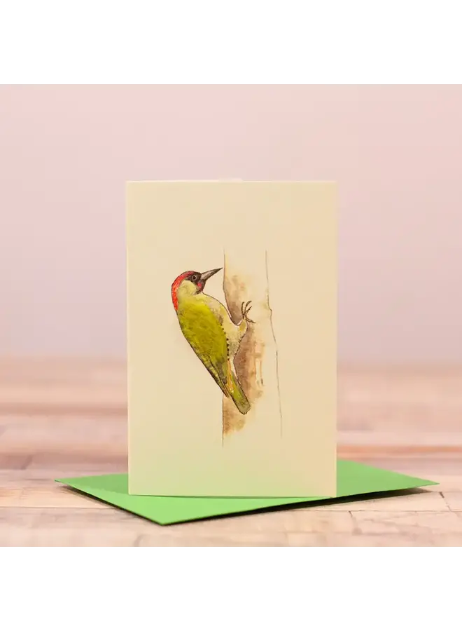 Tarjeta mini de pájaro carpintero 102