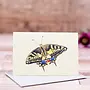 Mini-carte papillon machaon 104