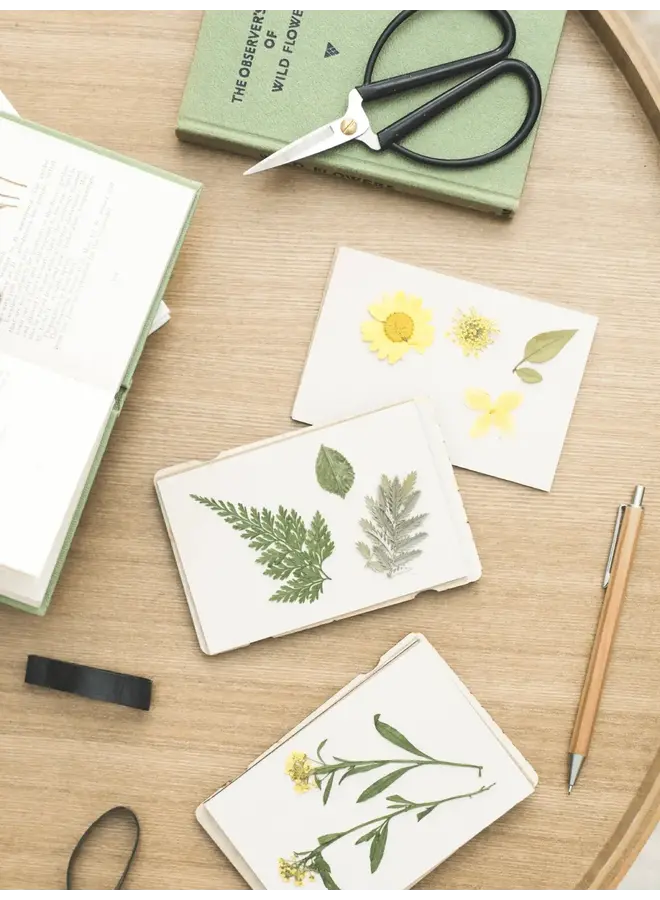 Pocket Flower Press Maskros 27