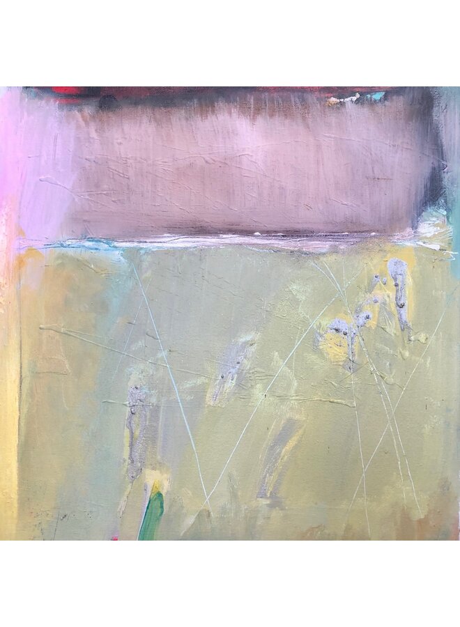 Laava & Lichen - Islande