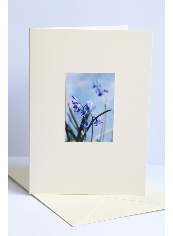 Blåklockor i blommande fotokonstkort 26