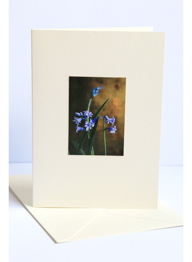 Glockenblumen mit goldener Fotokunstkarte 24