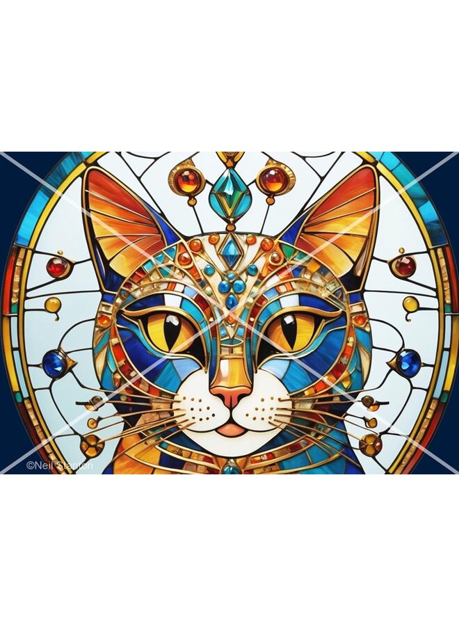 Sundar - The Curious Cat Series Card 06