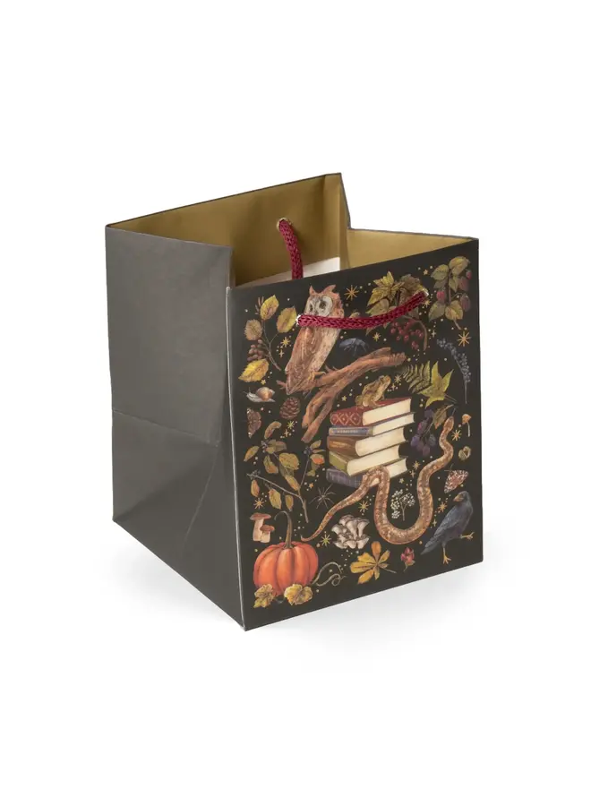 Copy of Nouveau Poppies Small Square Gift Bag