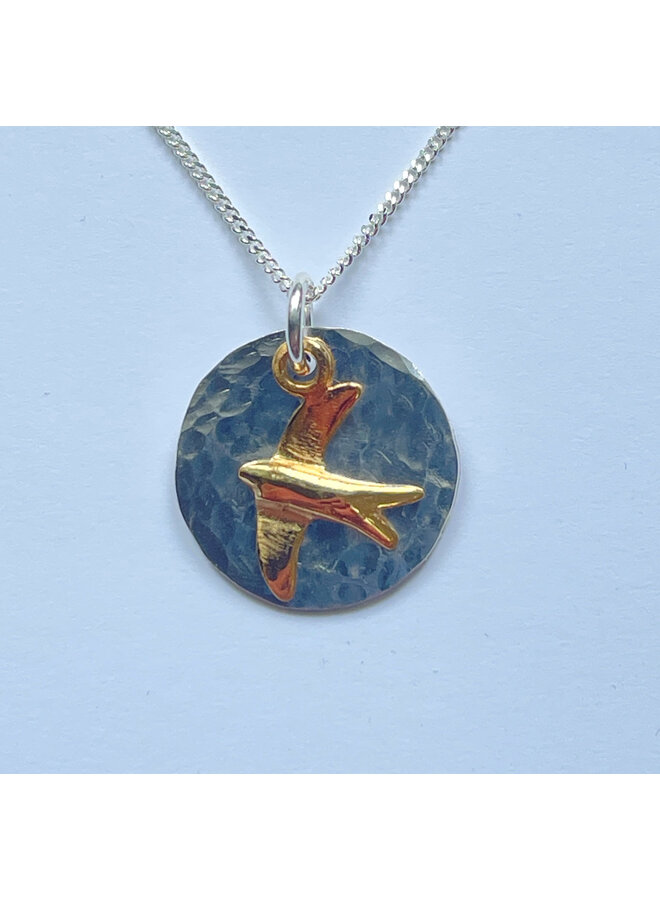 Hamrad silverskiva med guldsvalhalsband 226