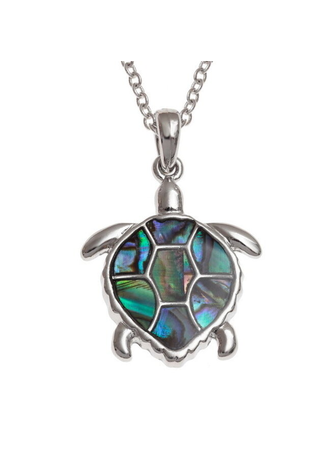 Turtle Paua Shell Halskette 101