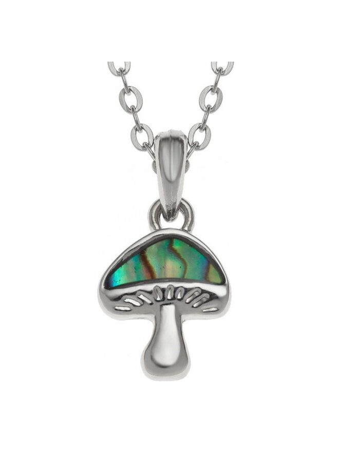 Pilz Kleine Paua Muschel Halskette 962