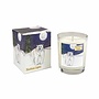 Bougie votive parfumée Forêt enneigée aux aurores boréales