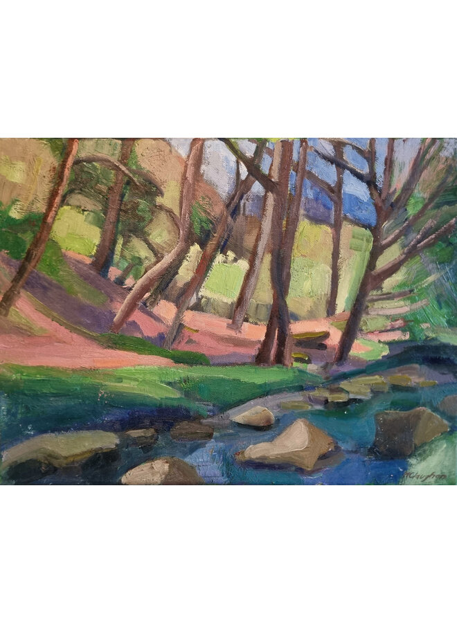 River At Craggs no. 2