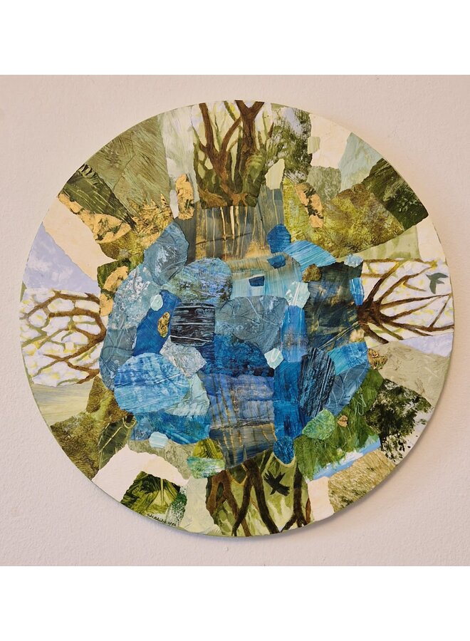 Растем к свету