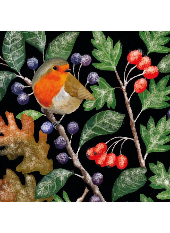 Lot de 8 cartes de Noël Robin et Frosty Berries