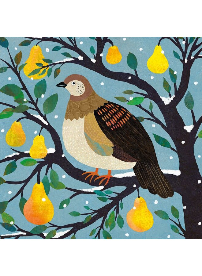 Partridge in aPear Tree 8 Christmas Charity Card Pack