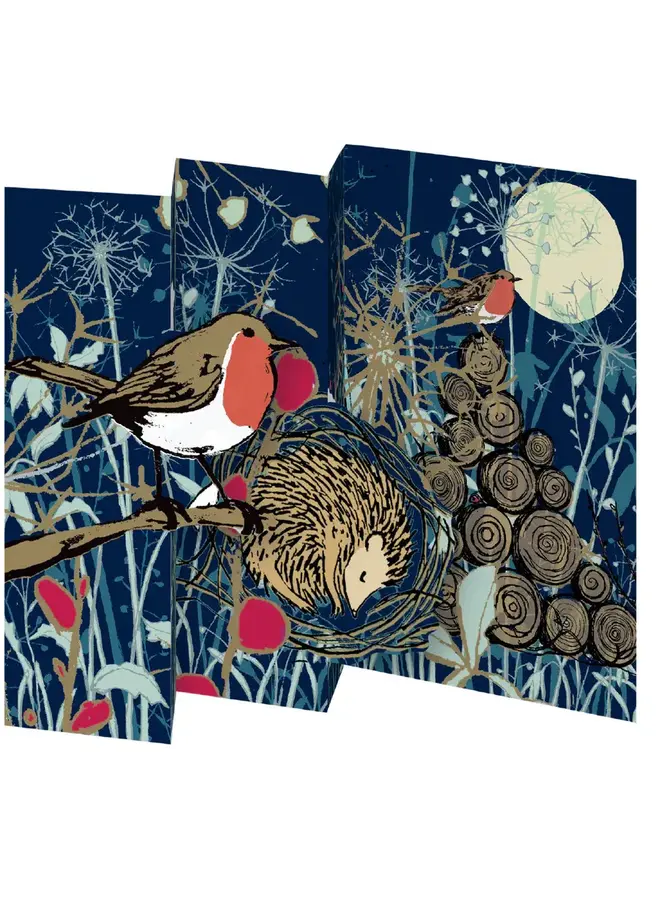 Winter's Tale Robin Tri-fold Card Pack