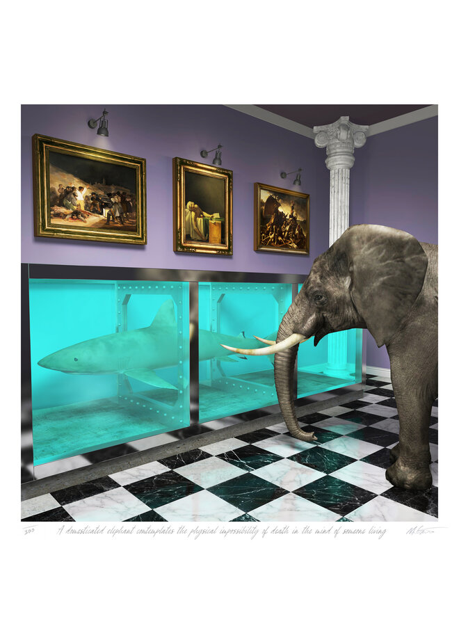 Un éléphant domestiqué contemple l'impossibilité physique de la mort dans l'esprit d'un être vivant.